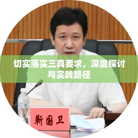 切實落實三真要求，深度探討與實踐路徑