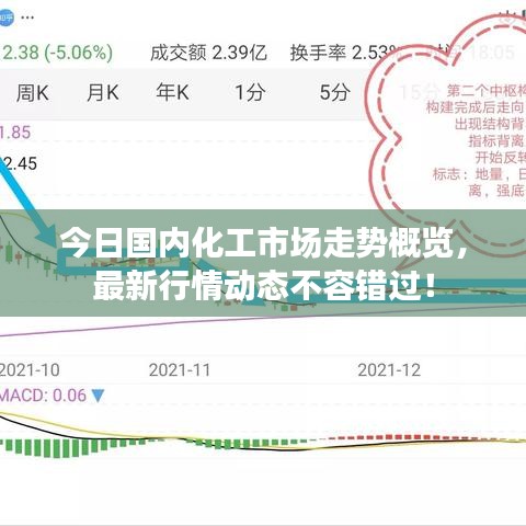 今日國(guó)內(nèi)化工市場(chǎng)走勢(shì)概覽，最新行情動(dòng)態(tài)不容錯(cuò)過(guò)！