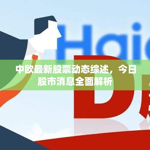 中歐最新股票動(dòng)態(tài)綜述，今日股市消息全面解析