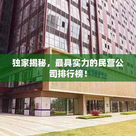 獨(dú)家揭秘，最具實(shí)力的民營(yíng)公司排行榜！