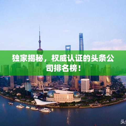 獨(dú)家揭秘，權(quán)威認(rèn)證的頭條公司排名榜！