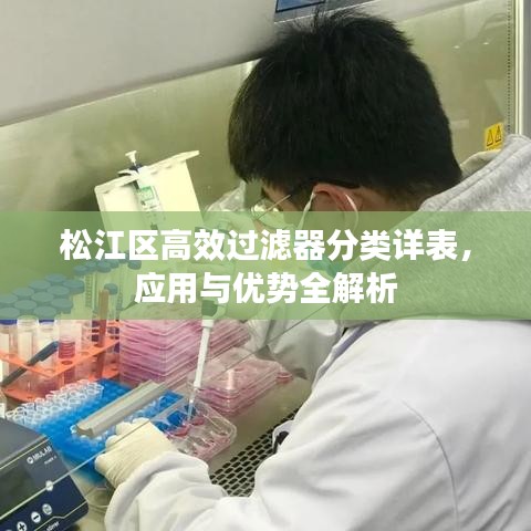 松江區(qū)高效過濾器分類詳表，應(yīng)用與優(yōu)勢全解析