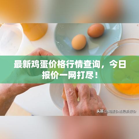 最新雞蛋價(jià)格行情查詢，今日?qǐng)?bào)價(jià)一網(wǎng)打盡！