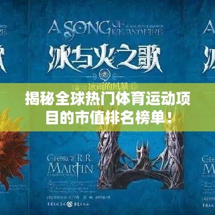 揭秘全球熱門體育運(yùn)動(dòng)項(xiàng)目的市值排名榜單！