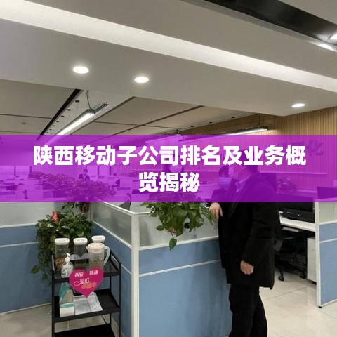 陜西移動子公司排名及業(yè)務概覽揭秘