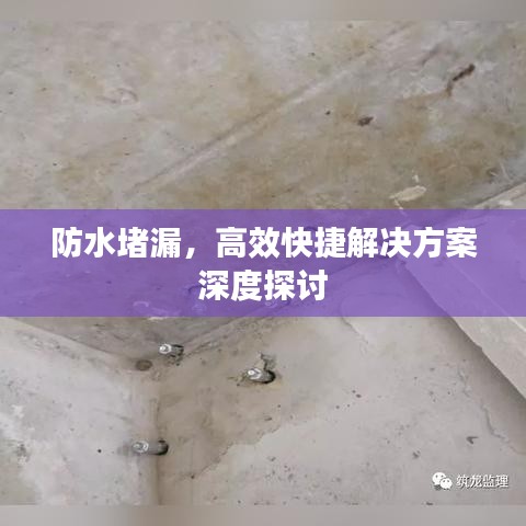防水堵漏，高效快捷解決方案深度探討