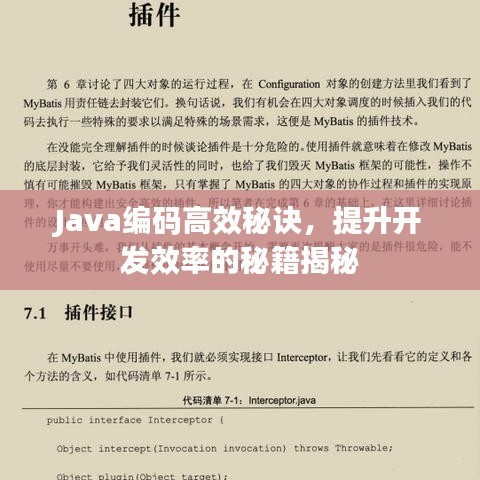 Java編碼高效秘訣，提升開(kāi)發(fā)效率的秘籍揭秘