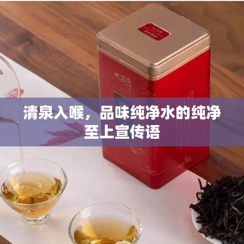 清泉入喉，品味純凈水的純凈至上宣傳語