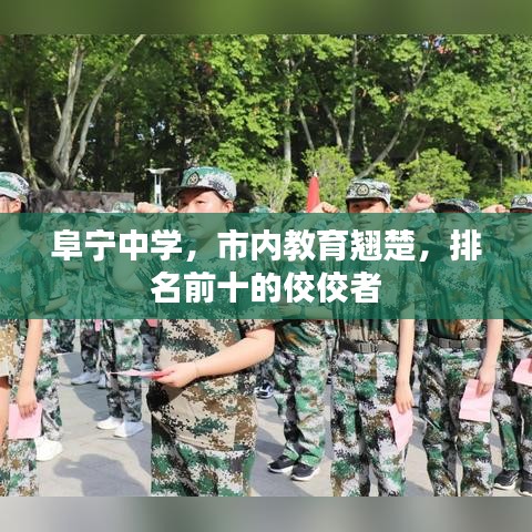 阜寧中學(xué)，市內(nèi)教育翹楚，排名前十的佼佼者