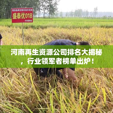 河南再生資源公司排名大揭秘，行業(yè)領(lǐng)軍者榜單出爐！