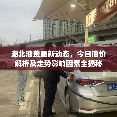 湖北油費最新動態(tài)，今日油價解析及走勢影響因素全揭秘