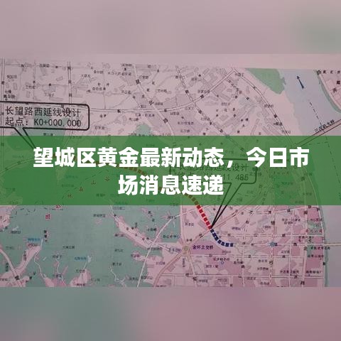 望城區(qū)黃金最新動態(tài)，今日市場消息速遞