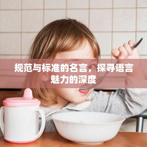 規(guī)范與標(biāo)準(zhǔn)的名言，探尋語(yǔ)言魅力的深度