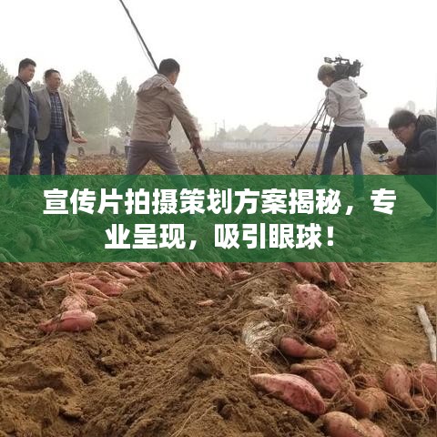 宣傳片拍攝策劃方案揭秘，專業(yè)呈現(xiàn)，吸引眼球！