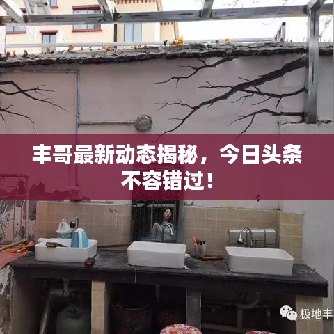 鳥面鵠形 第2頁