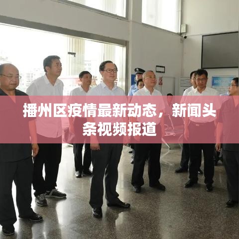 播州區(qū)疫情最新動態(tài)，新聞頭條視頻報道