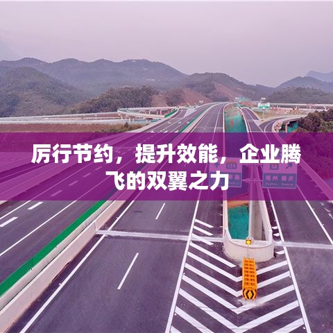 厲行節(jié)約，提升效能，企業(yè)騰飛的雙翼之力