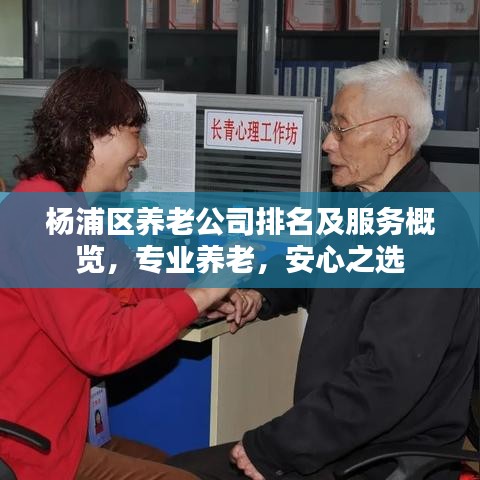 楊浦區(qū)養(yǎng)老公司排名及服務(wù)概覽，專(zhuān)業(yè)養(yǎng)老，安心之選