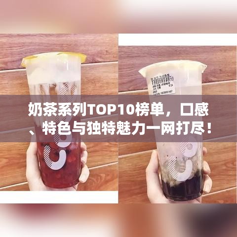 奶茶系列TOP10榜單，口感、特色與獨(dú)特魅力一網(wǎng)打盡！
