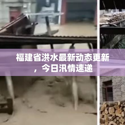 福建省洪水最新動(dòng)態(tài)更新，今日汛情速遞