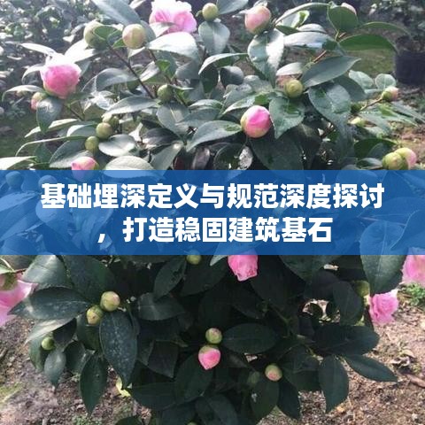 基礎(chǔ)埋深定義與規(guī)范深度探討，打造穩(wěn)固建筑基石