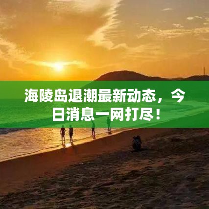 海陵島退潮最新動(dòng)態(tài)，今日消息一網(wǎng)打盡！