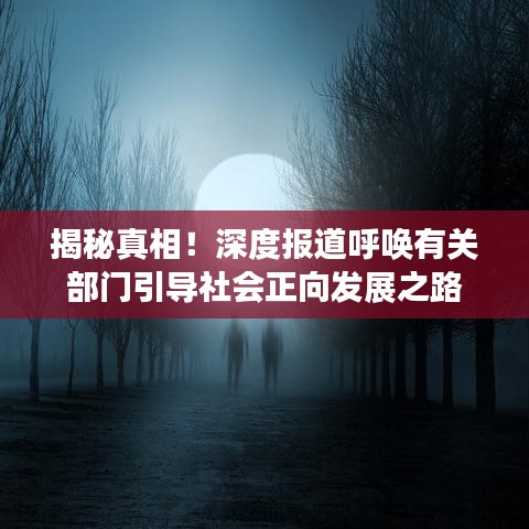 揭秘真相！深度報道呼喚有關(guān)部門引導社會正向發(fā)展之路