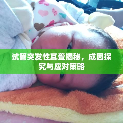 試管突發(fā)性耳聾揭秘，成因探究與應(yīng)對(duì)策略