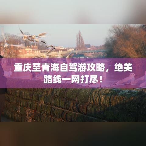 重慶至青海自駕游攻略，絕美路線一網(wǎng)打盡！