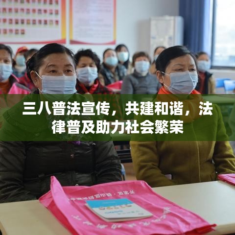三八普法宣傳，共建和諧，法律普及助力社會繁榮