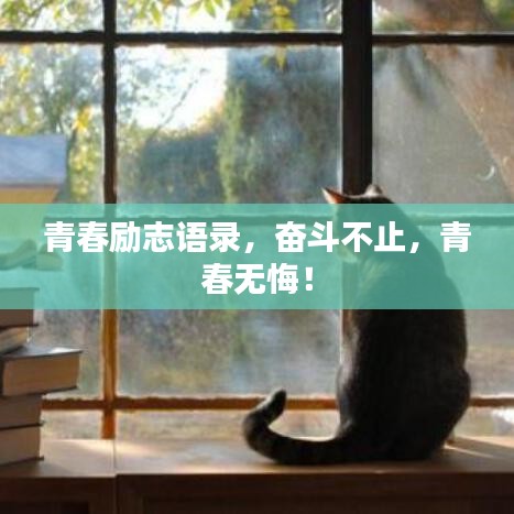 青春勵志語錄，奮斗不止，青春無悔！