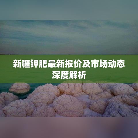 新疆鉀肥最新報價及市場動態(tài)深度解析