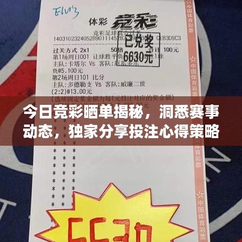 今日競(jìng)彩曬單揭秘，洞悉賽事動(dòng)態(tài)，獨(dú)家分享投注心得策略
