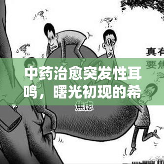 中藥治愈突發(fā)性耳鳴，曙光初現(xiàn)的希望之路