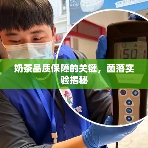 奶茶品質(zhì)保障的關(guān)鍵，菌落實驗揭秘