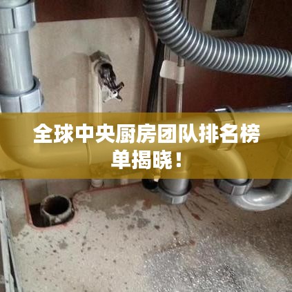 全球中央廚房團(tuán)隊(duì)排名榜單揭曉！