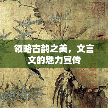 領(lǐng)略古韻之美，文言文的魅力宣傳