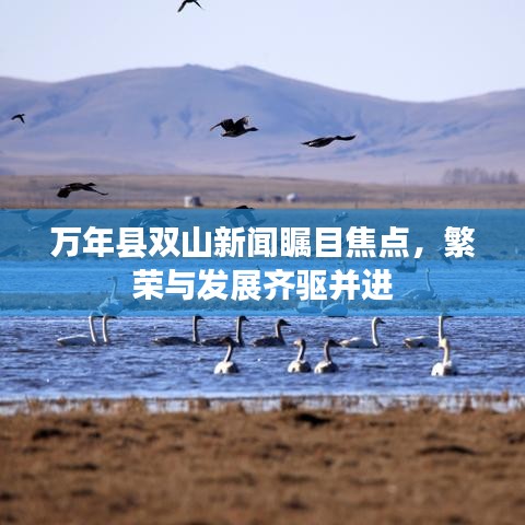 萬年縣雙山新聞矚目焦點，繁榮與發(fā)展齊驅并進