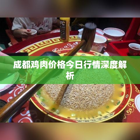 成都雞肉價格今日行情深度解析
