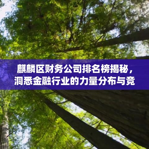 麒麟?yún)^(qū)財務公司排名榜揭秘，洞悉金融行業(yè)的力量分布與競爭格局