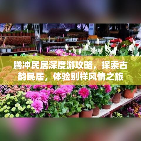 侃侃而談 第2頁