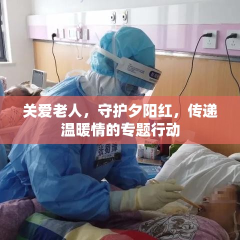 關(guān)愛老人，守護(hù)夕陽紅，傳遞溫暖情的專題行動(dòng)