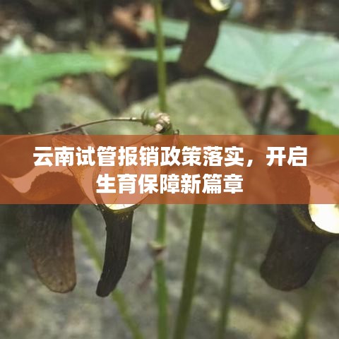 草草收兵 第3頁