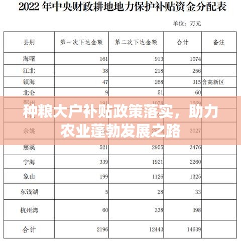種糧大戶補(bǔ)貼政策落實(shí)，助力農(nóng)業(yè)蓬勃發(fā)展之路