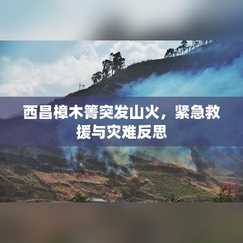 西昌樟木箐突發(fā)山火，緊急救援與災(zāi)難反思