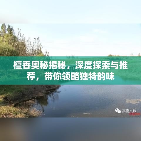 臼灶生蛙 第3頁