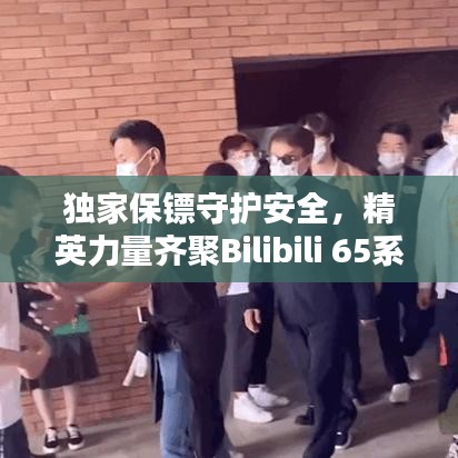 獨家保鏢守護安全，精英力量齊聚Bilibili 65系列