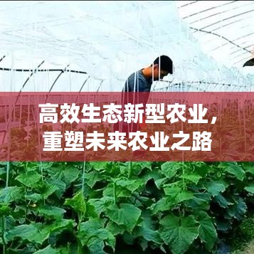 高效生態(tài)新型農(nóng)業(yè)，重塑未來(lái)農(nóng)業(yè)之路