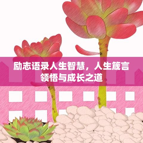 勵志語錄人生智慧，人生箴言領(lǐng)悟與成長之道