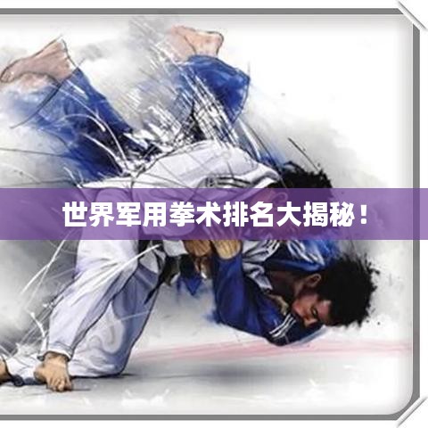世界軍用拳術(shù)排名大揭秘！